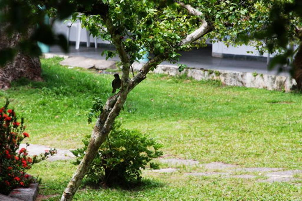 Pousada Sitio Paraiso 伊塔卡雷 外观 照片